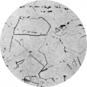 Микроструктура. Сталь коррозионно-стойкая обыкновенная, аустенит, карбиды