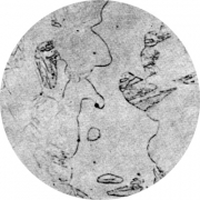 Микроструктура стали 15Х18СЮ : феррит. мартенсит