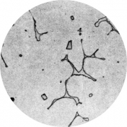 Микроструктура стали 08Х18Н10Т: аустенит, феррит, карбиды