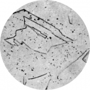 Микроструктура стали 08Х18Н10Т: аустенит,  карбиды