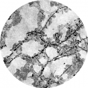 Микроструктура стали 12Х18Н10Т: аустенит,  карбиды